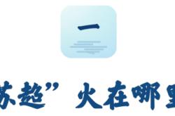 “苏超”为什么能火？这篇调研报告讲透了！