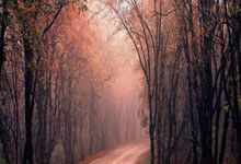 （体育）足球——意甲：AC米兰胜博洛尼亚